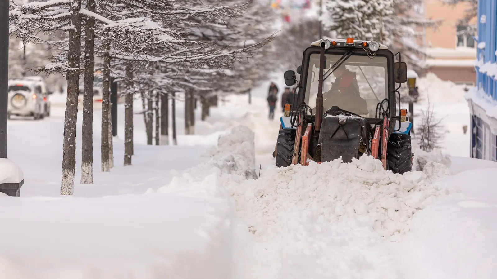 Compact tractor clearing a snowy, tree-lined sidewalk