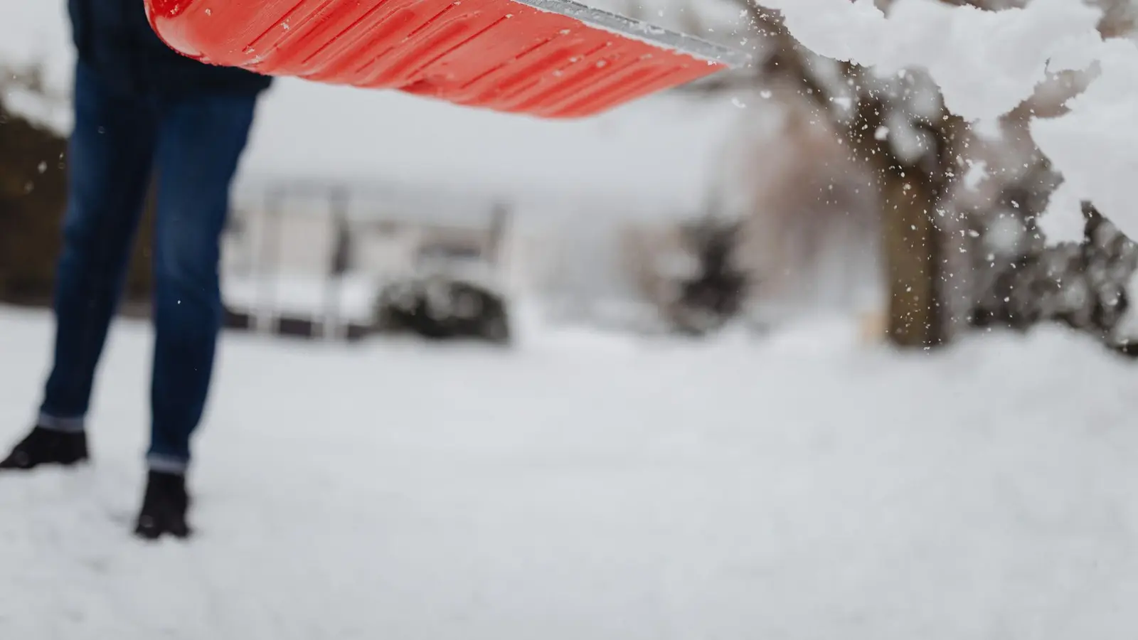 Person shoveling fresh snow with a red snow shovel