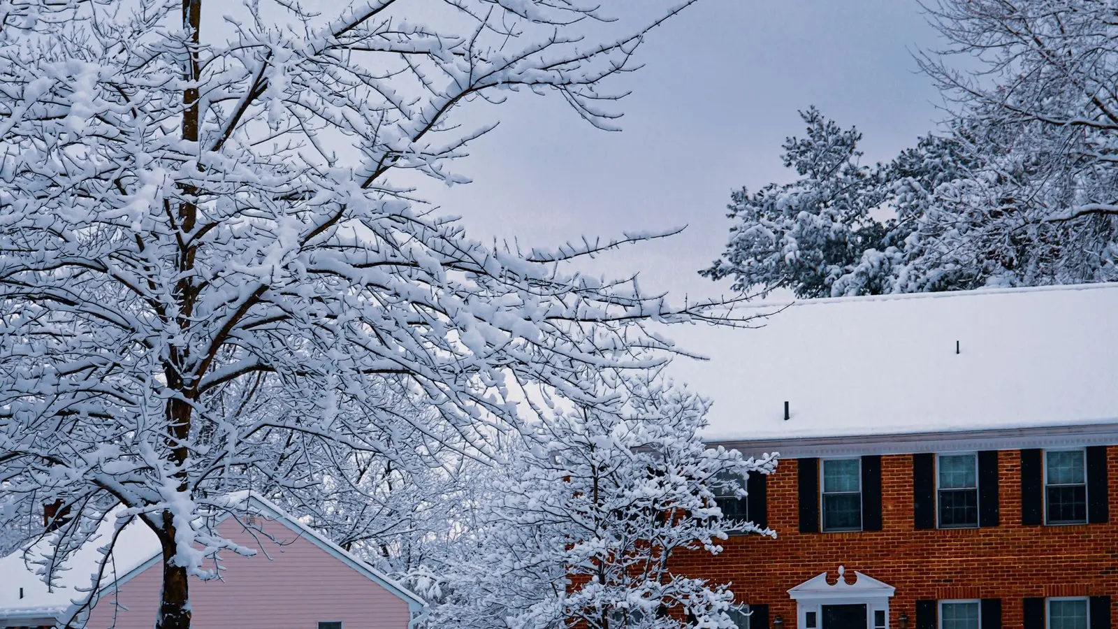Brick house surrounded by snow-covered trees