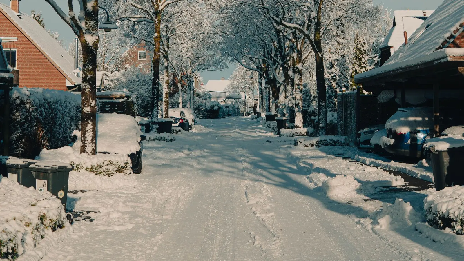 Tree-lined residential street covered in snow on a sunny day
